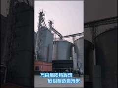 500T/D मक्का सुखाने के उपकरण गर्म विस्फोट ताप कृषि ड्रायर मशीन
